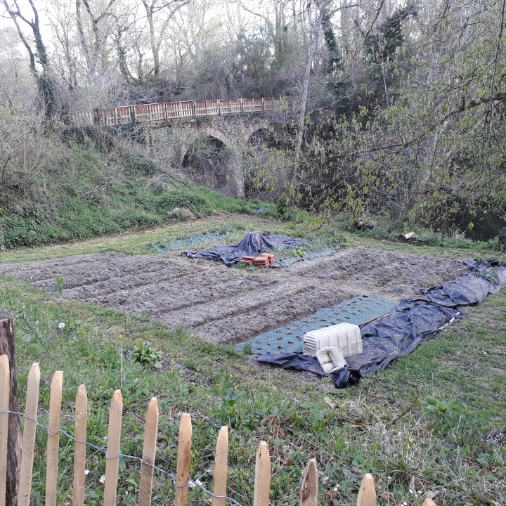 Le potager en hiver
