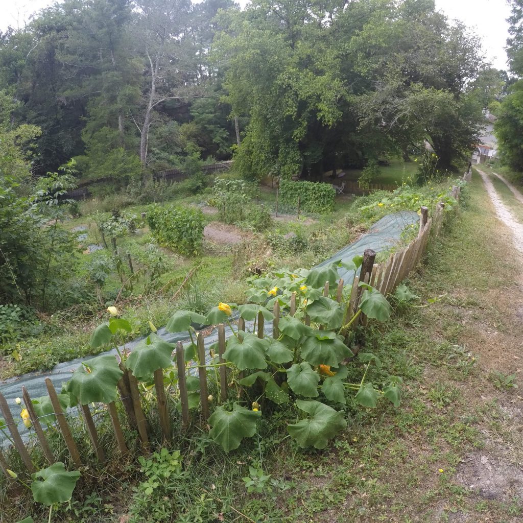 Le potager au printemps